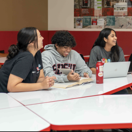 people sitting at table and laughing