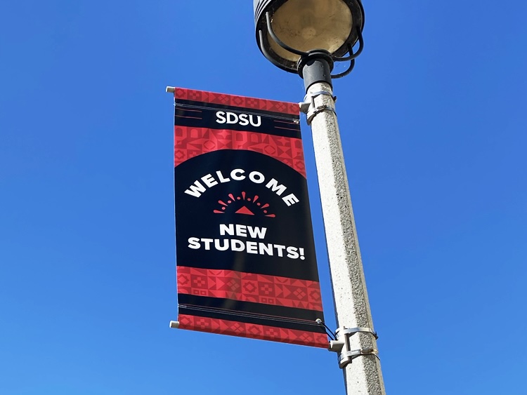 NSPP Pole Banners